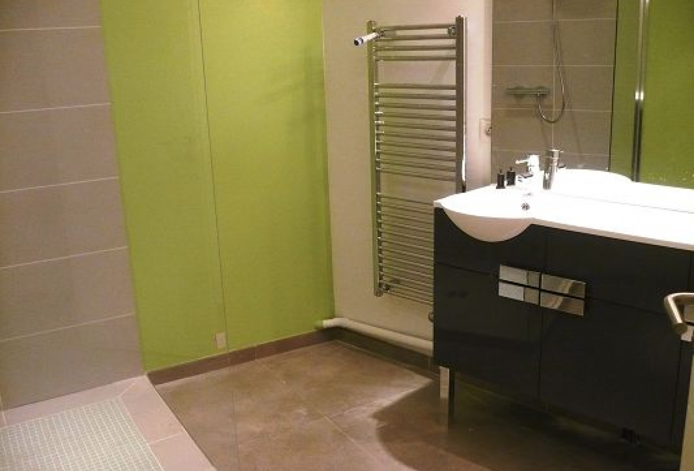 à louer Duplex Saint Georges D'orques - Photo 6