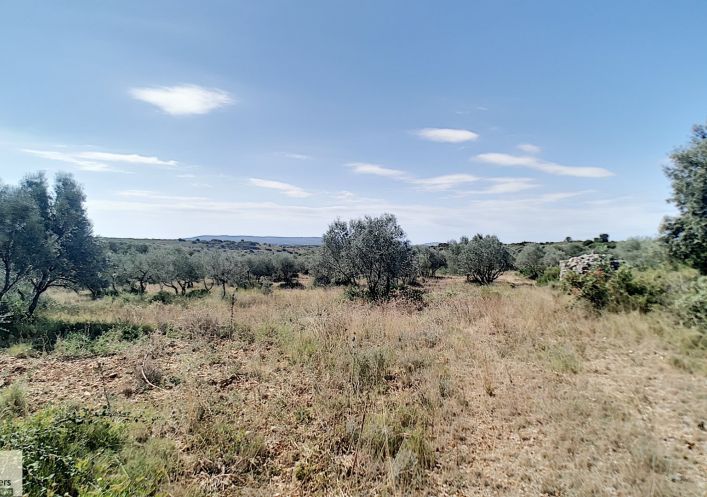 For sale Terrain Pignan | R�f 3407830541 - Agence les oliviers