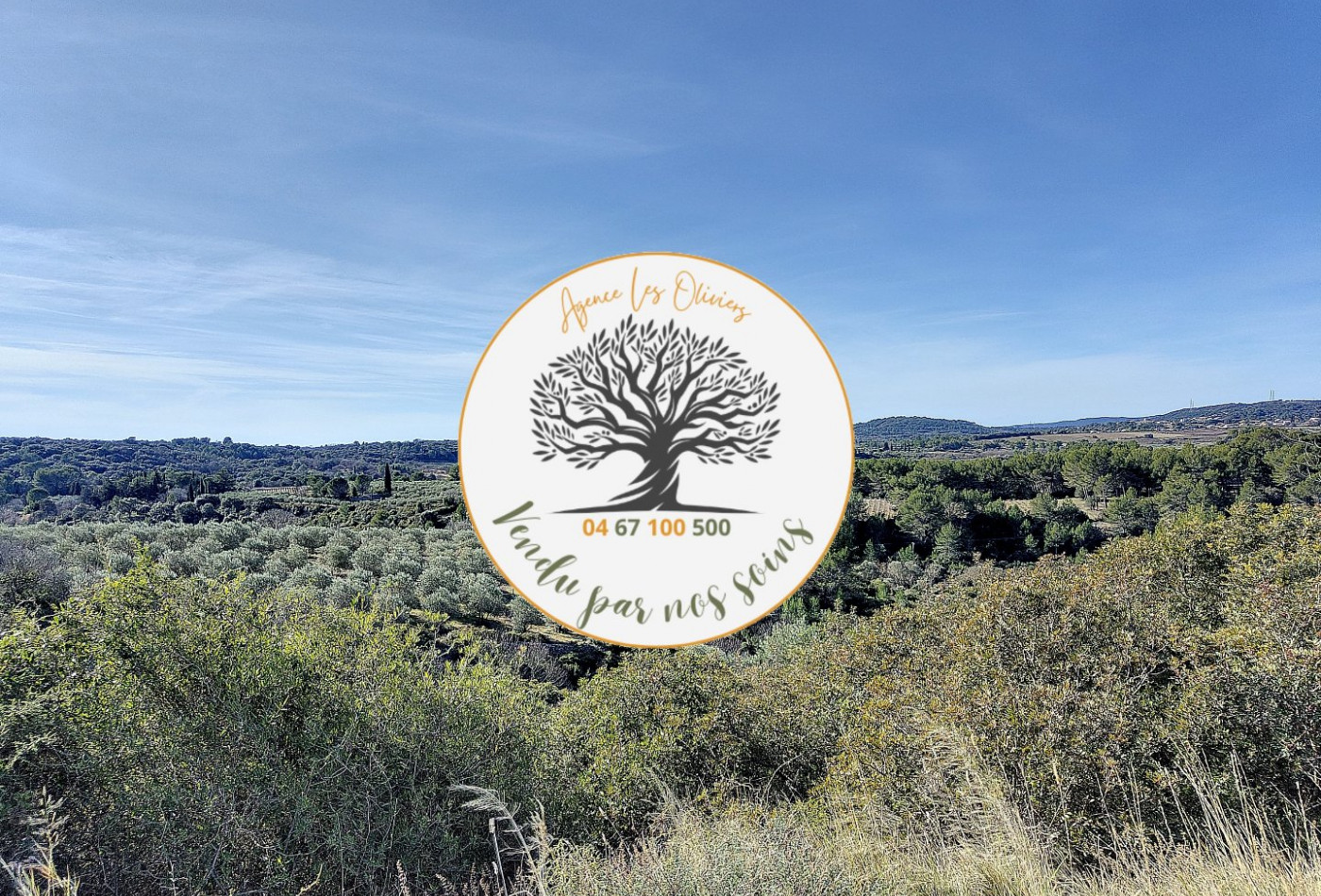 à vendre Mazet Saint Georges D'orques - Photo 1