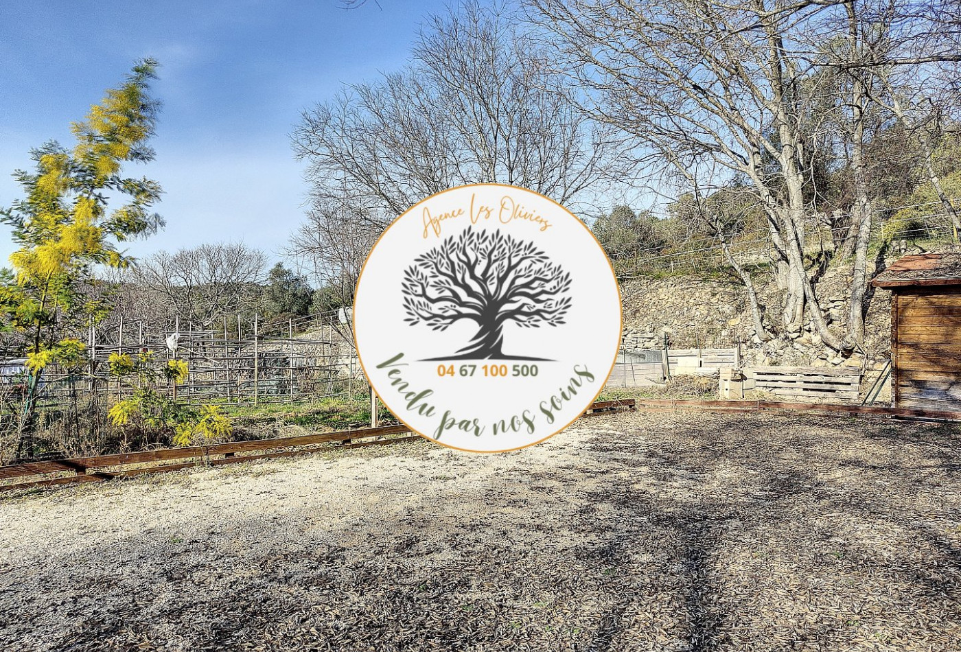 à vendre Mazet Saint Georges D'orques - Photo 2