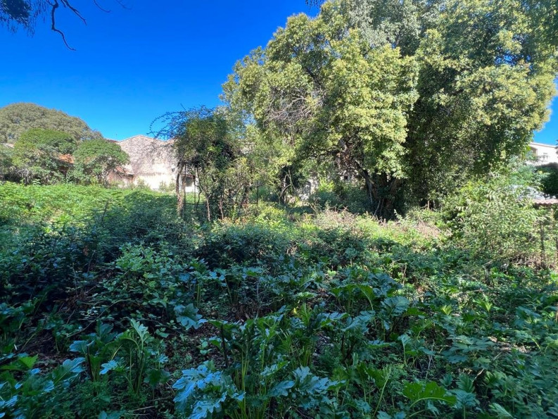 vente Terrain constructible Saint Georges D'orques - Photo 4