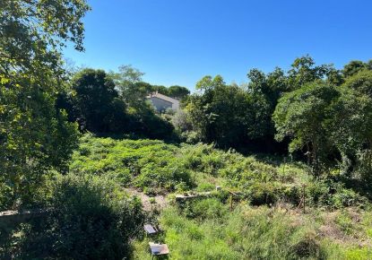 vente Terrain constructible Saint Georges D'orques