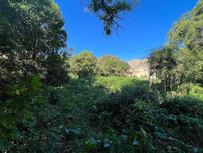 vente Terrain constructible Saint Georges D'orques - Photo 3