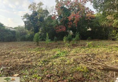 vente Terrain constructible Saint Georges D'orques