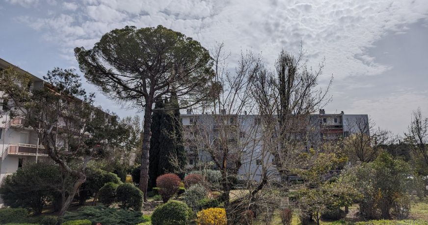 location Appartement Montpellier