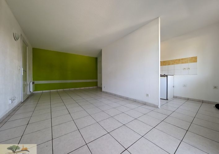 à vendre Appartement en rez de jardin Saint Georges D'orques