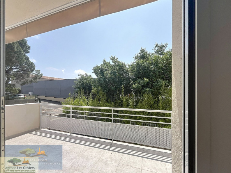 location Appartement rénové Saint Georges D'orques - Photo 2