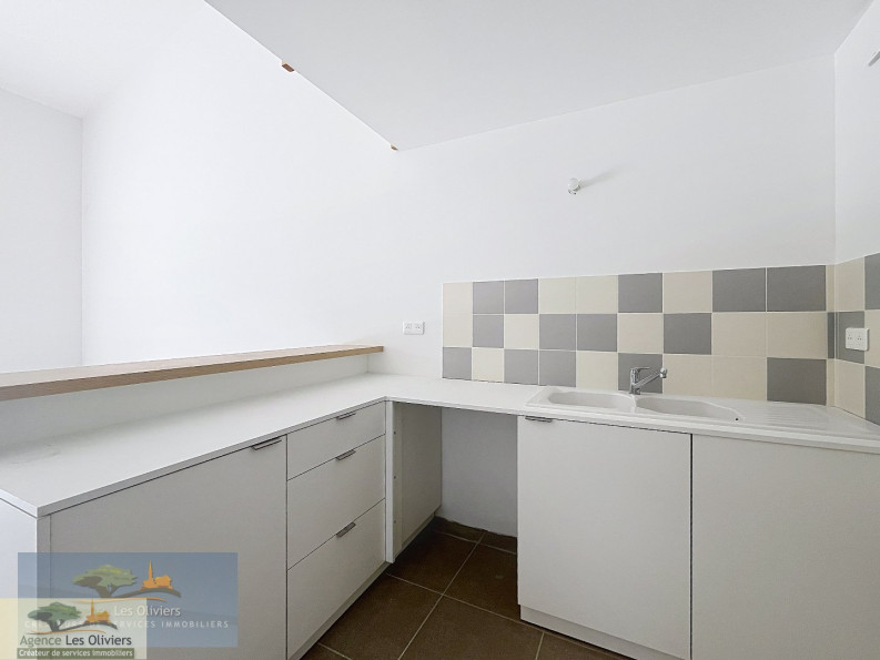 location Appartement rénové Saint Georges D'orques - Photo 4