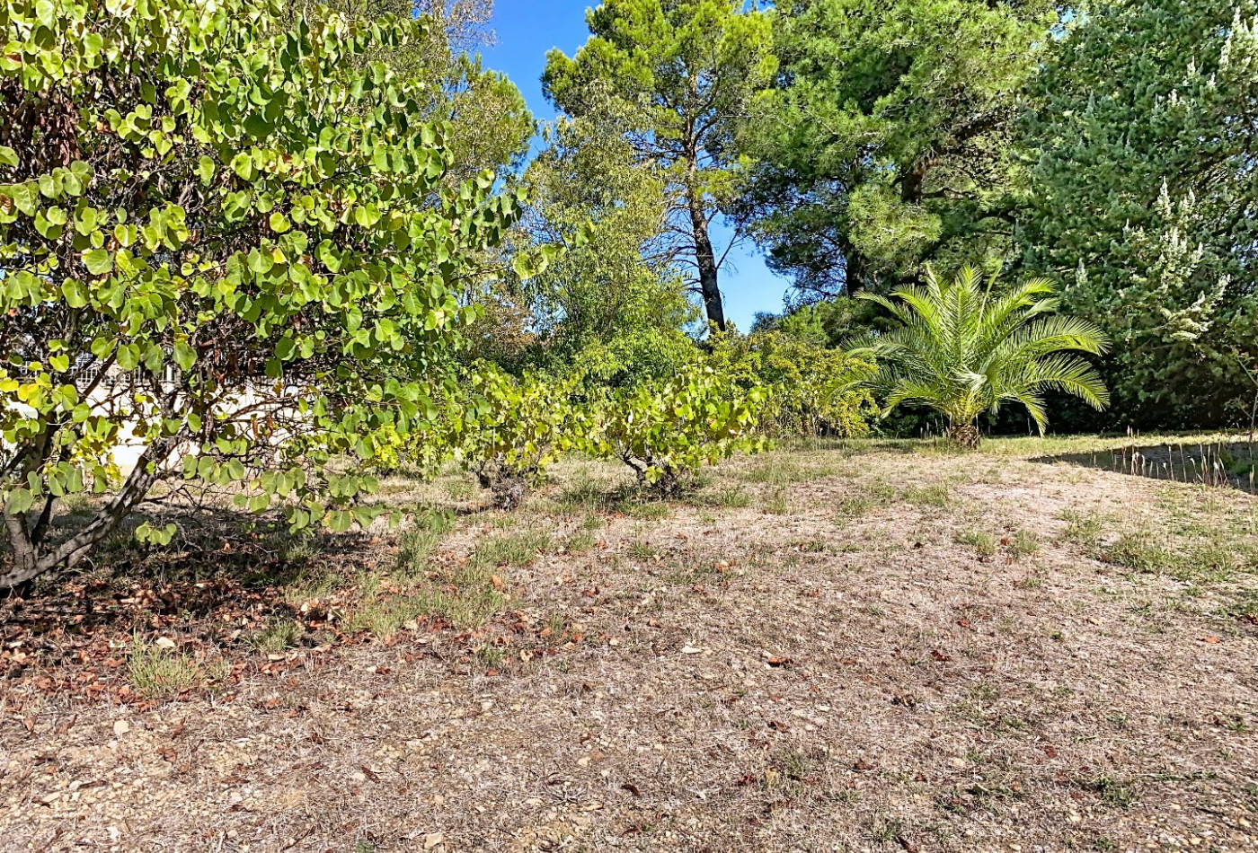 à vendre Terrain constructible Saint Georges D'orques - Photo 3