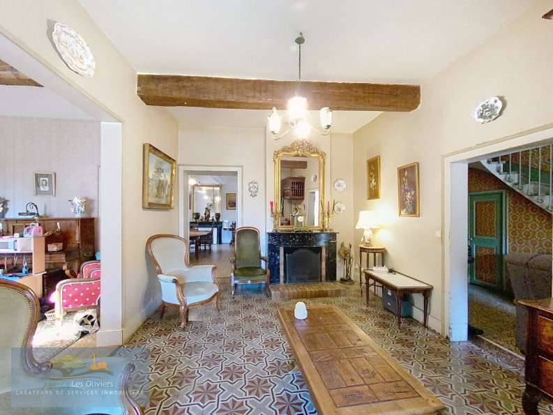 vente Demeure de ville et village Saint Georges D'orques - Photo 3