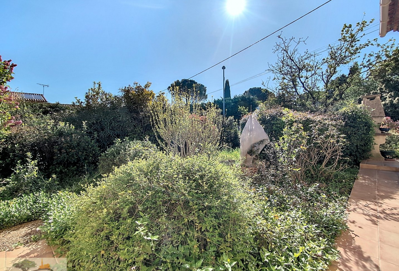 à vendre Maison Saint Georges D'orques - Photo 9