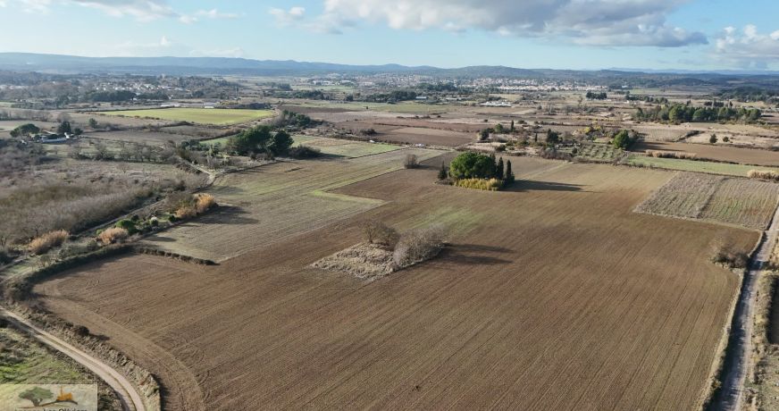 vente Terrain agricole Laverune