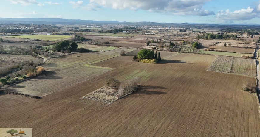 vente Terrain agricole Laverune