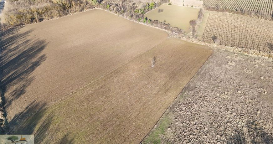 vente Terrain agricole Laverune