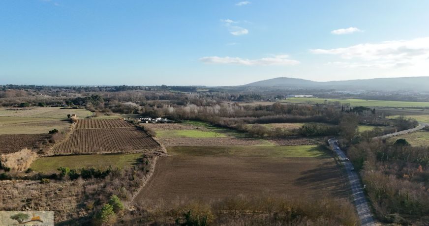 vente Terrain agricole Laverune
