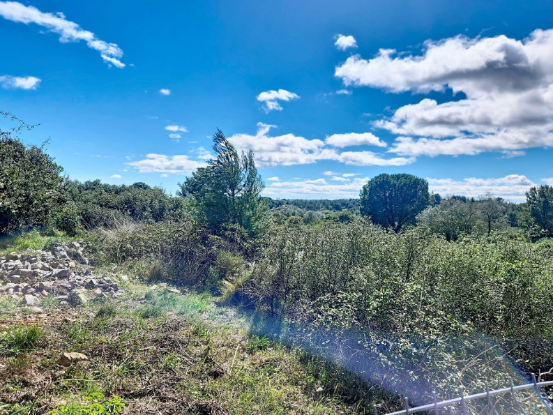 vente Villa Saint Georges D'orques - Photo 1