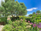 vente Maison Saint Georges D'orques