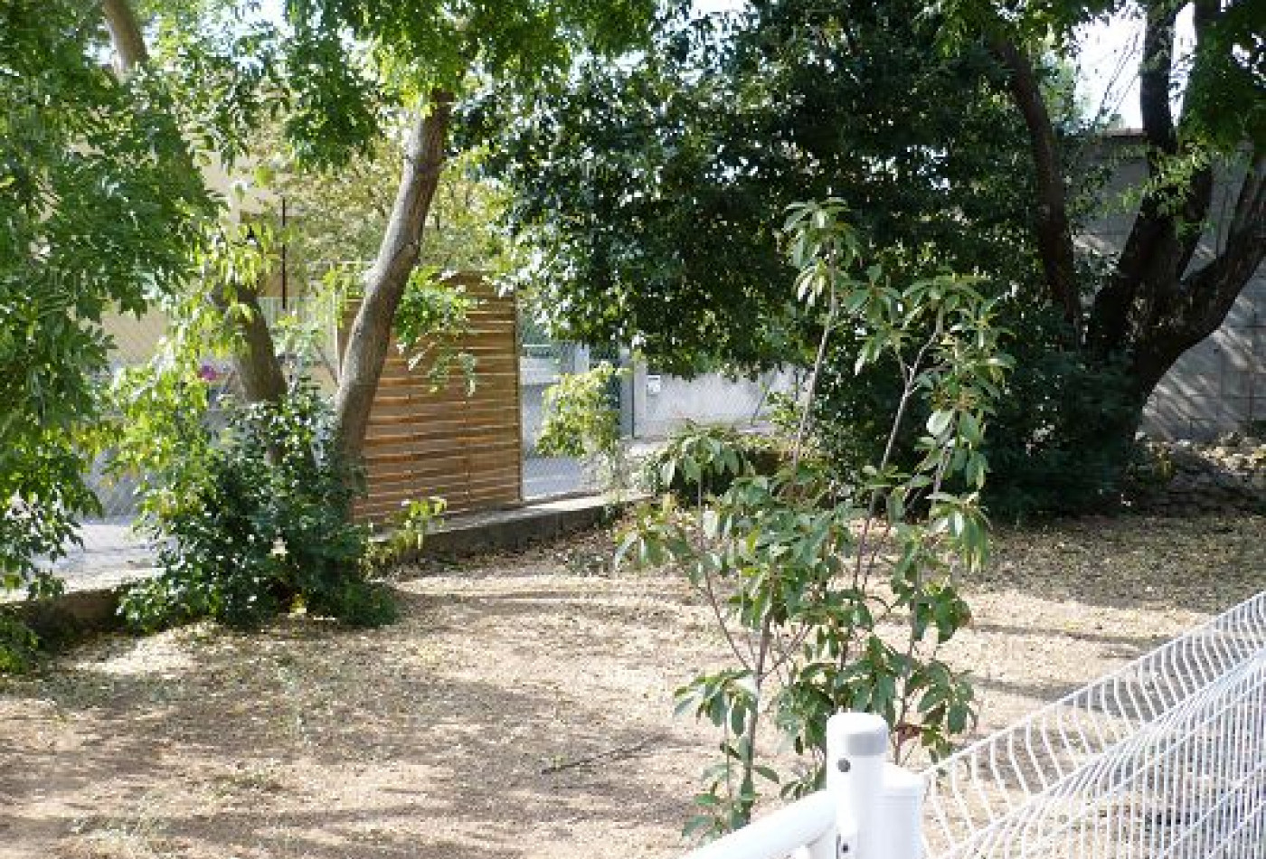 à vendre Maison Saint Georges D'orques - Photo 2