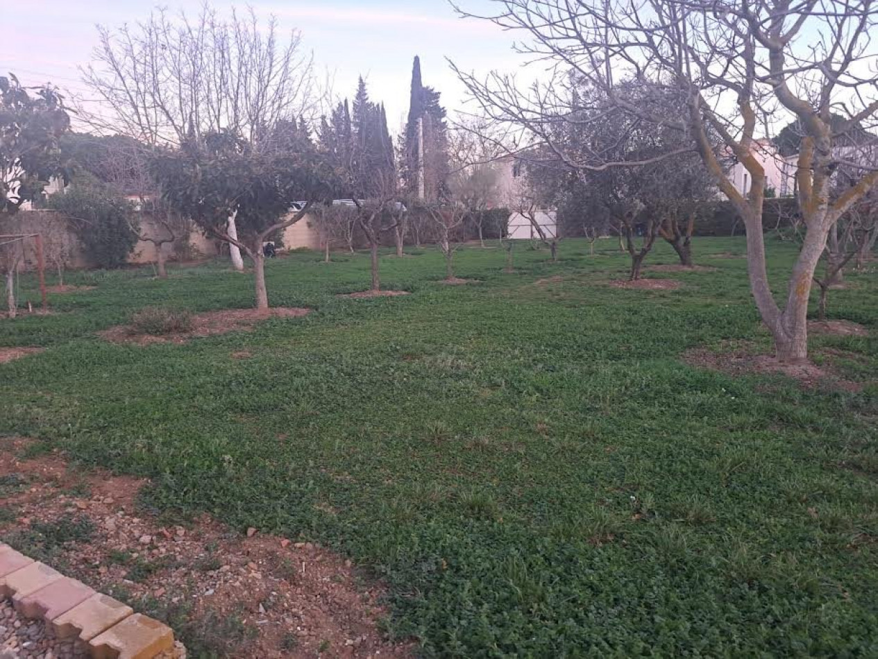 vente Terrain constructible Beziers - Photo 3