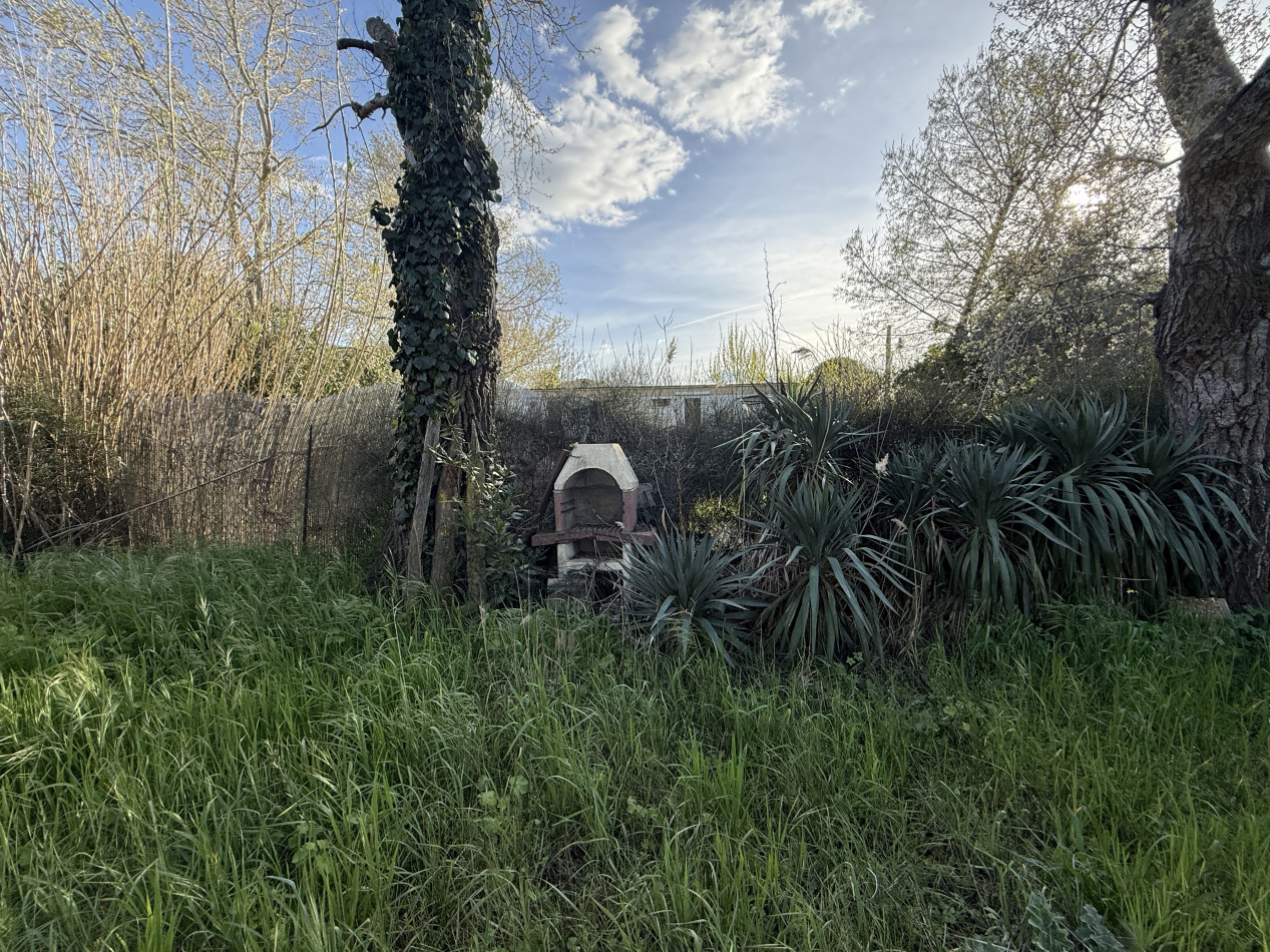 vente Terrain Vias-plage - Photo 6