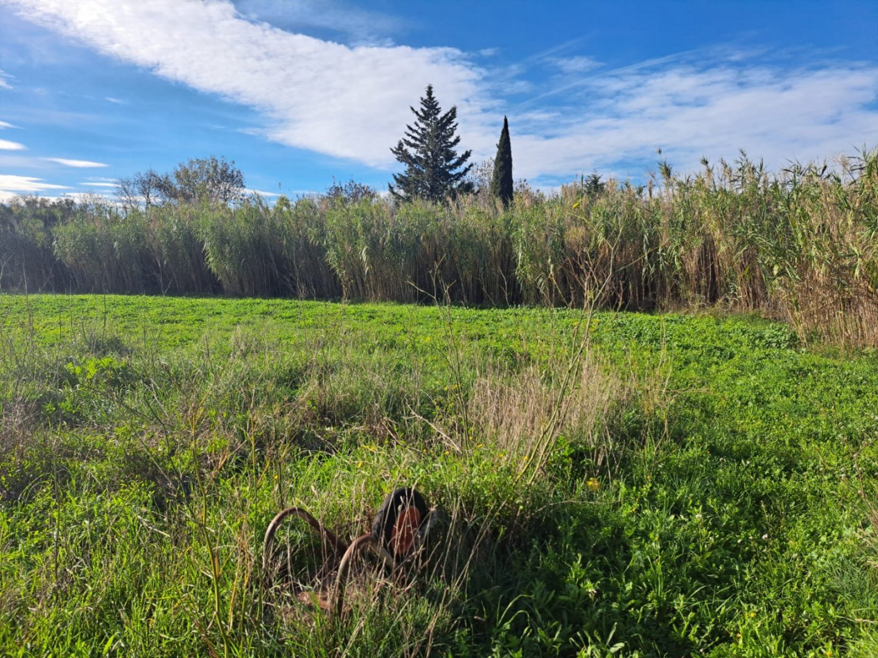 vente Terrain constructible Vias - Photo 3