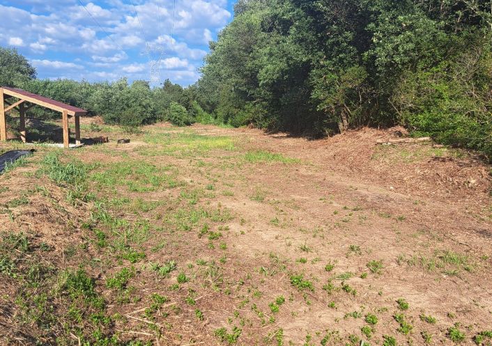 vente Terrain Servian