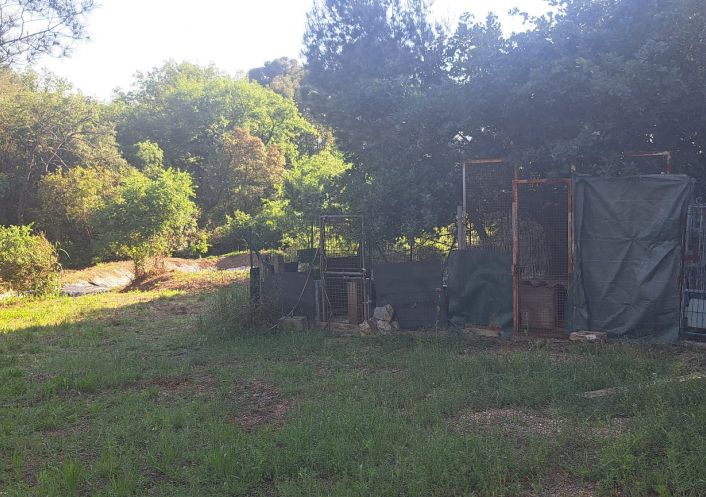 vente Terrain Servian