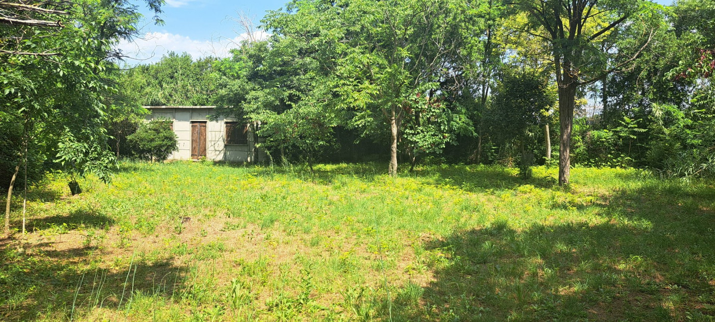 vente Terrain Vias - Photo 1