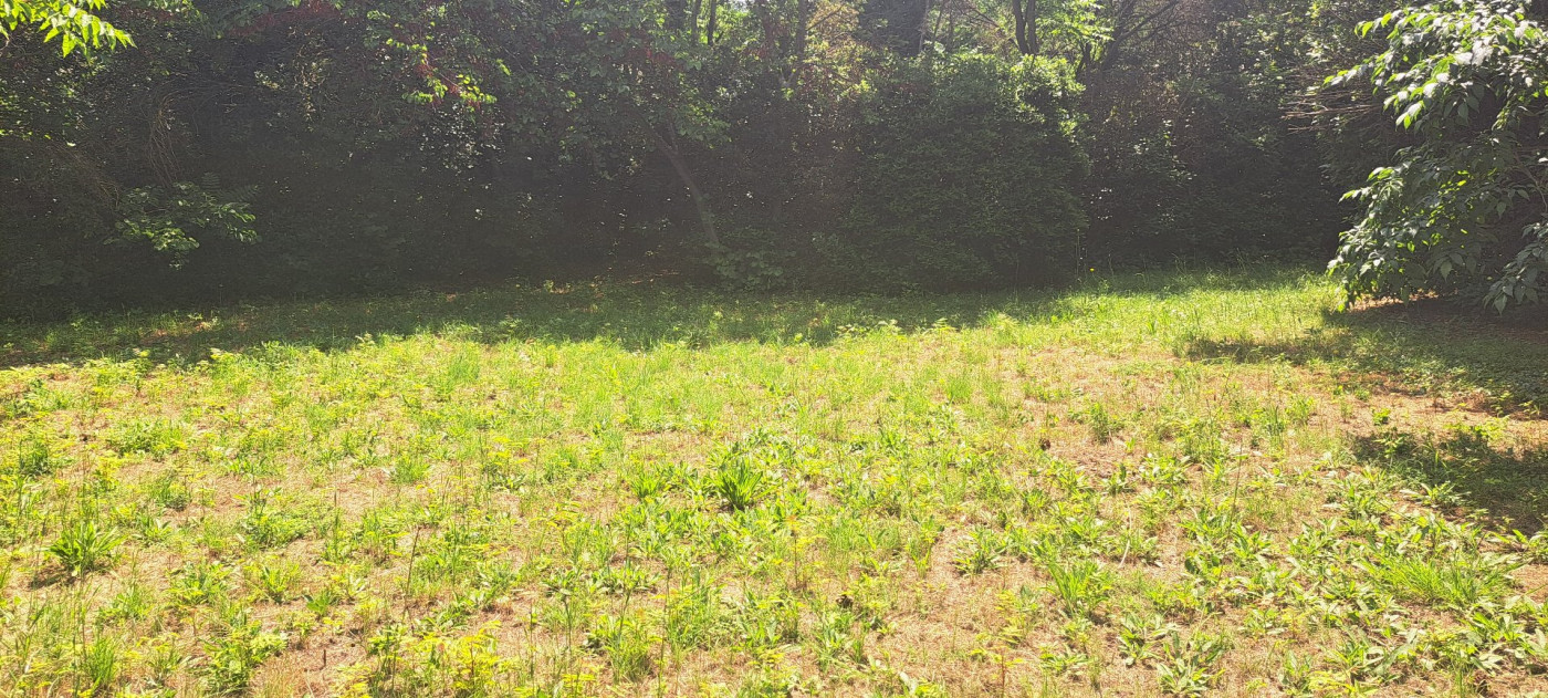 vente Terrain Vias - Photo 4