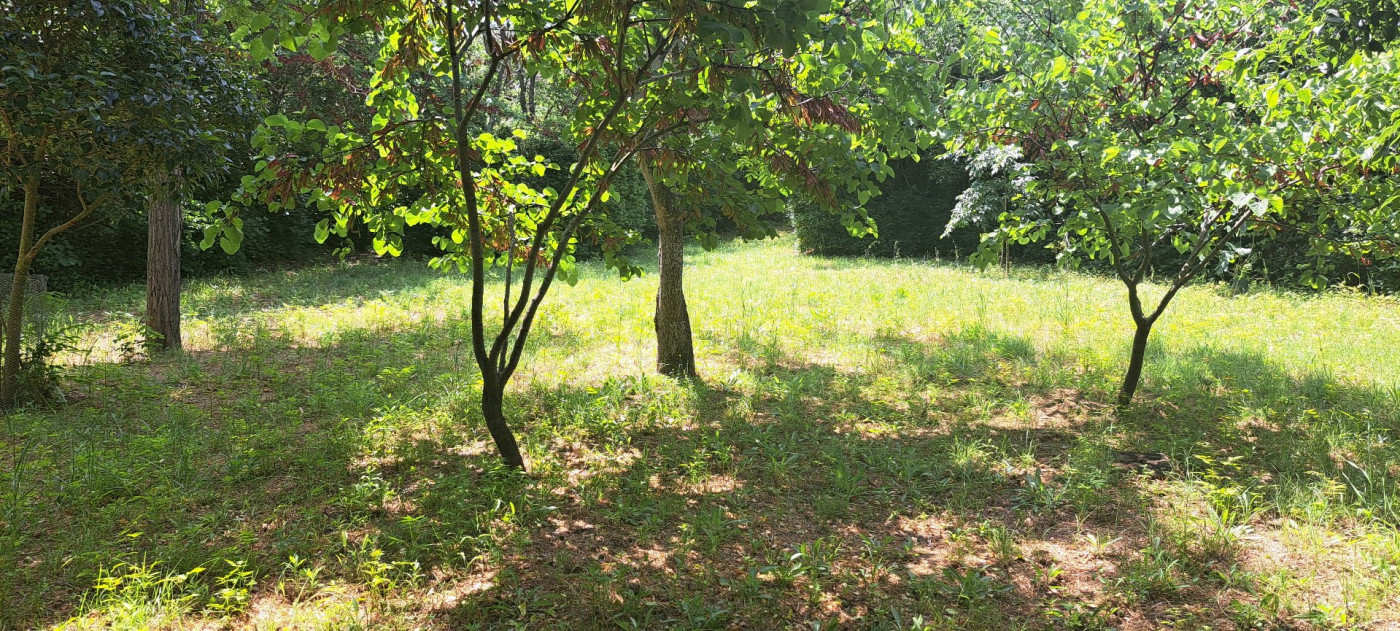 vente Terrain Vias - Photo 5