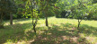vente Terrain Vias