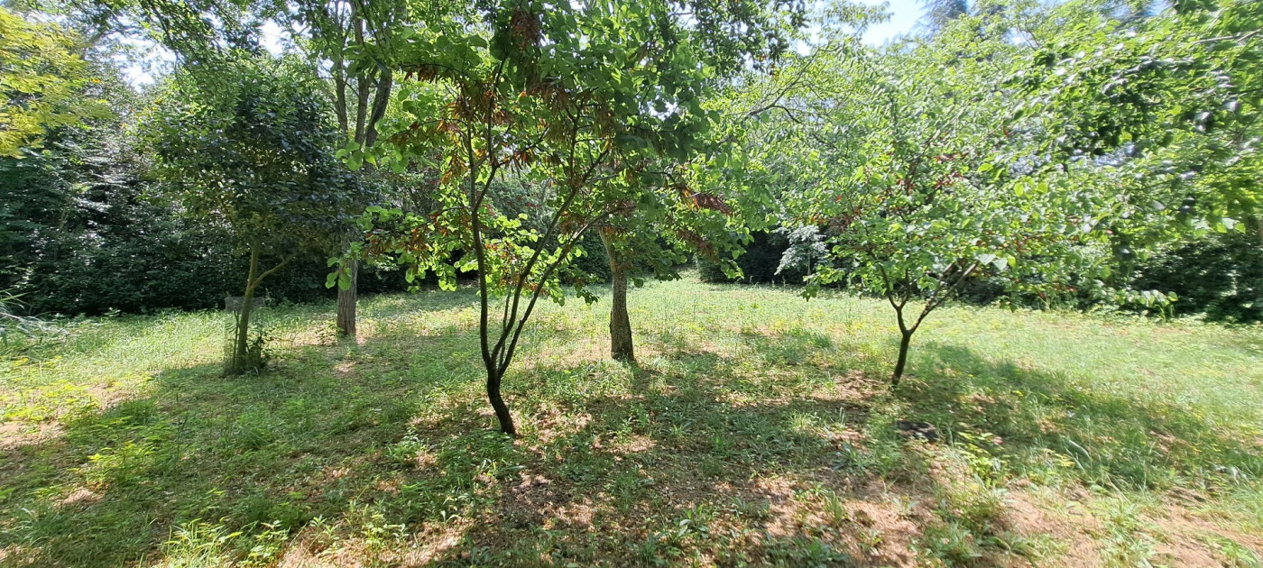 vente Terrain Vias - Photo 6