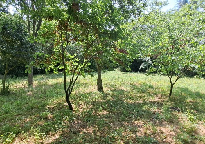 vente Terrain Vias
