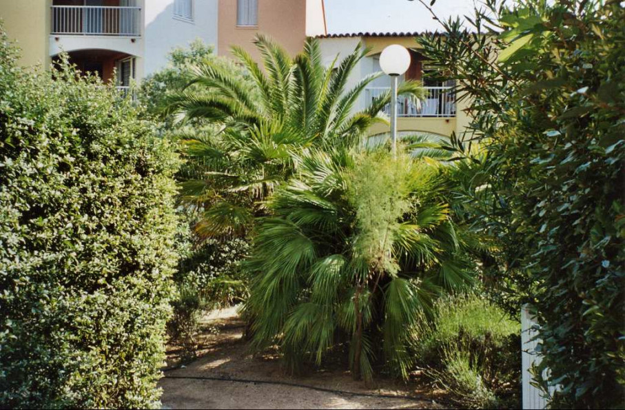en location saisonnière Appartement en résidence Le Cap D'agde - Photo 10