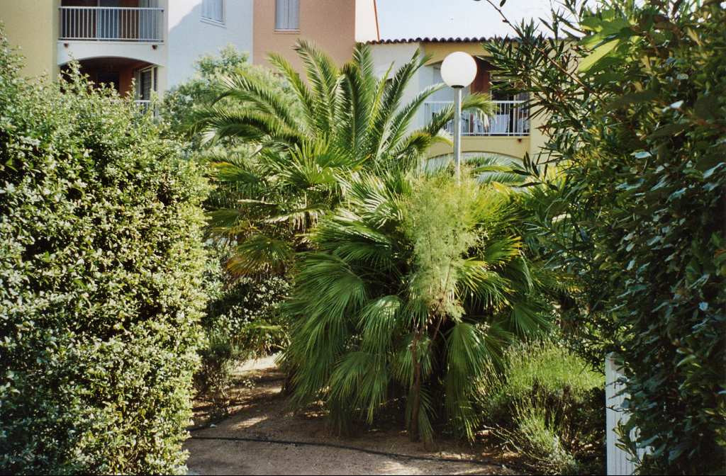 en location saisonnière Appartement en résidence Le Cap D'agde - Photo 10