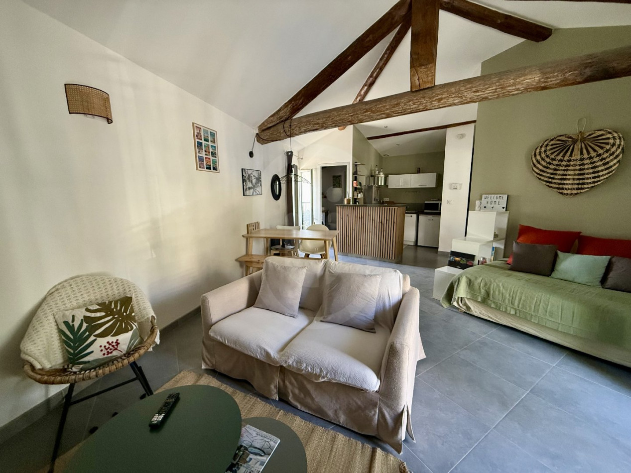 location Appartement Montpellier - Photo 1