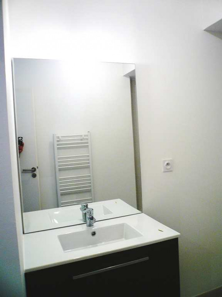 location Appartement Castelnau Le Lez - Photo 4