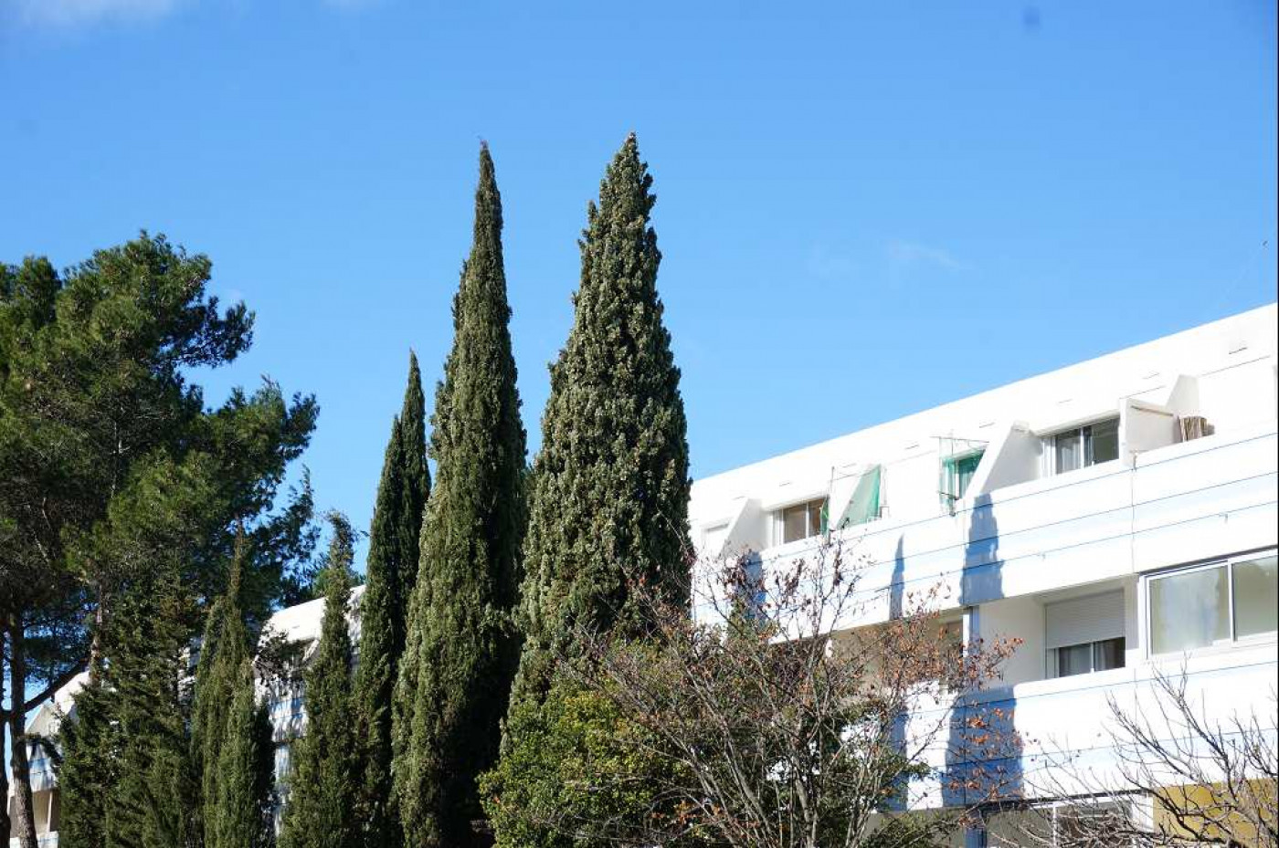location Appartement Montpellier - Photo 2