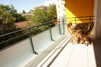location Appartement Montpellier