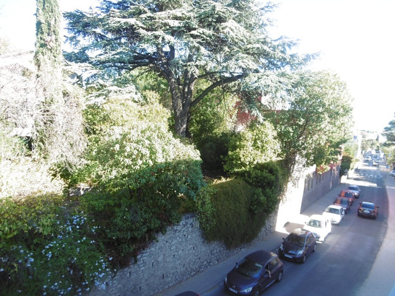 location Appartement Castelnau Le Lez - Photo 7