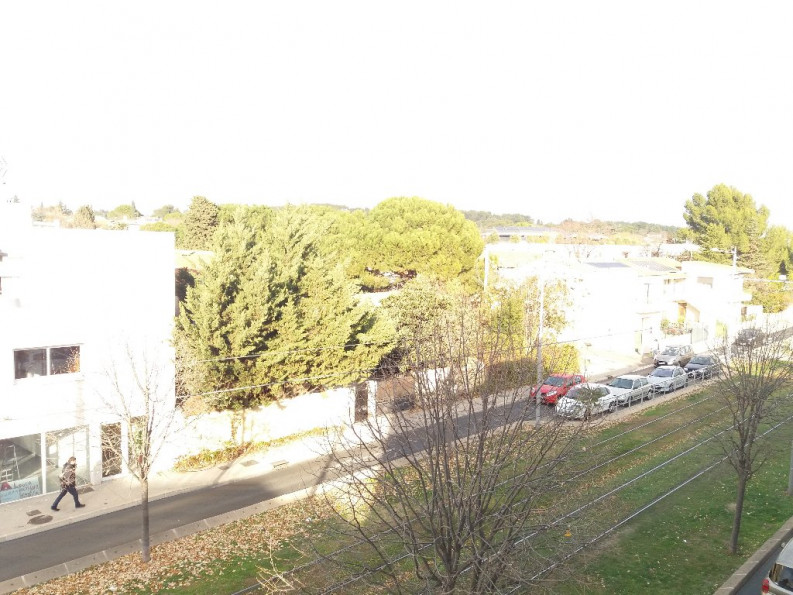 location Appartement Castelnau Le Lez - Photo 6