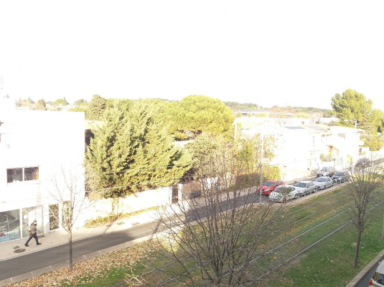 location Appartement Castelnau Le Lez - Photo 6