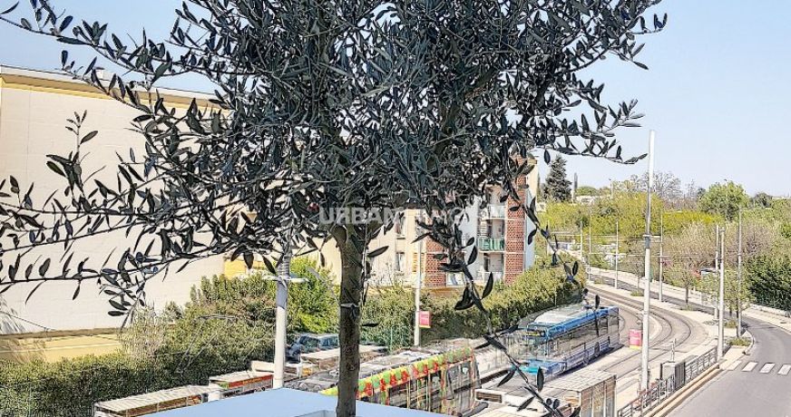 location Appartement Montpellier
