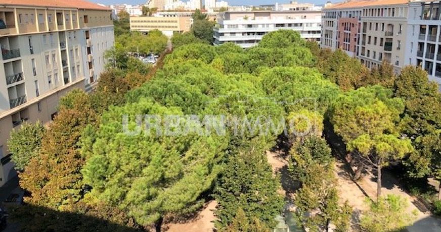 location Appartement Montpellier