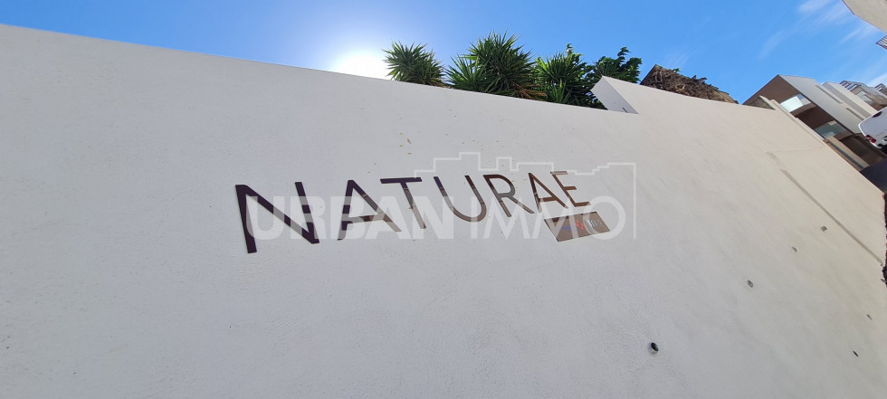 location Appartement Montpellier - Photo 8