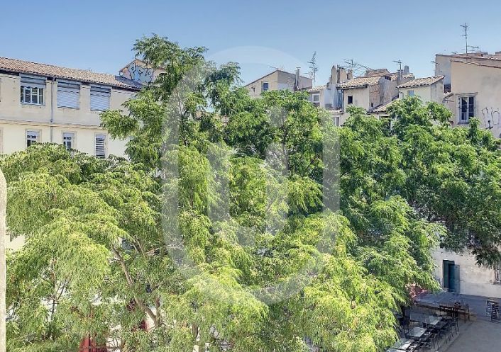 location Appartement Montpellier
