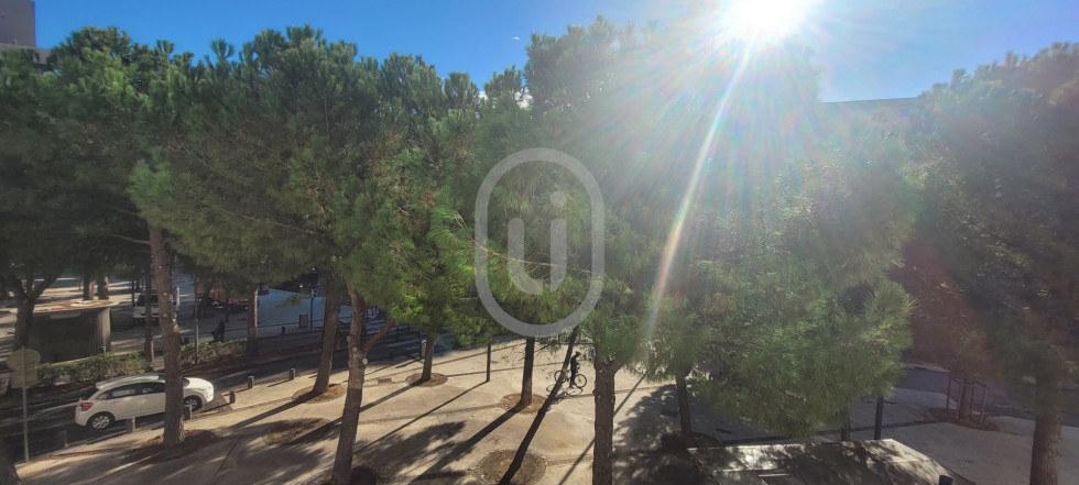location Appartement Montpellier - Photo 5