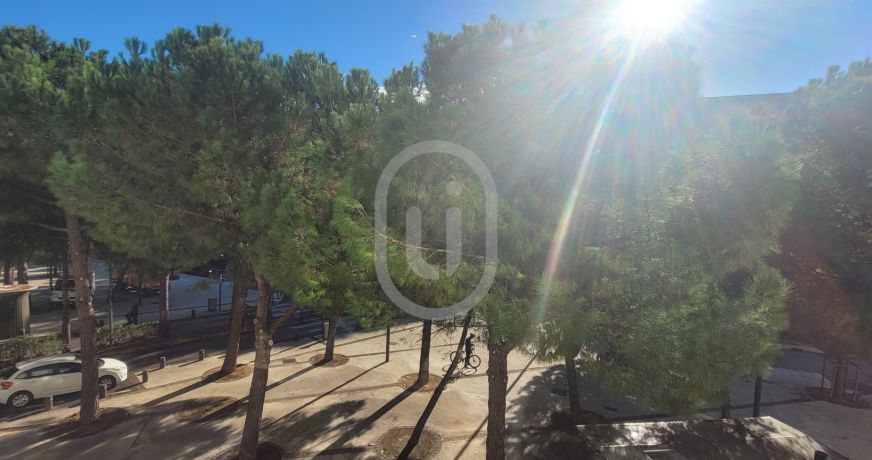 location Appartement Montpellier