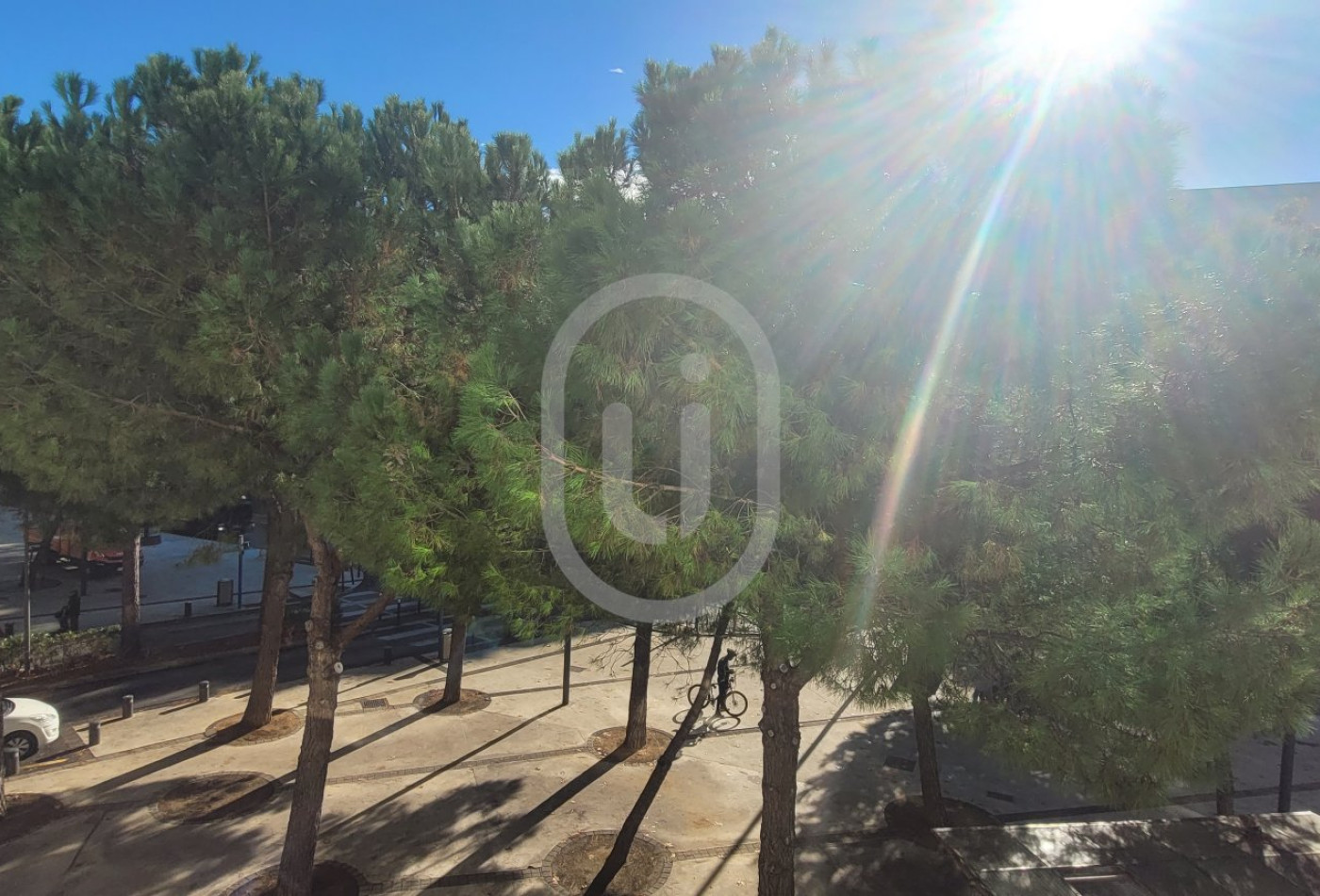location Appartement Montpellier - Photo 5