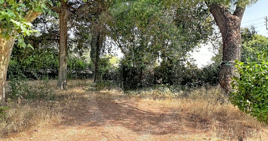 location Bastide Mauguio